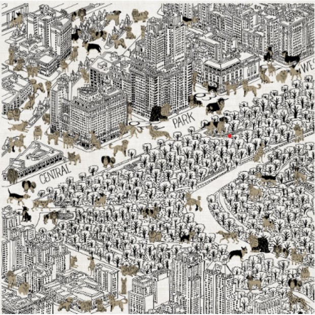 Inoui Editions vilnos skara CENTRAL PARK WHITE